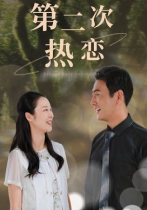 第二次热恋（48集）好看上头的短剧