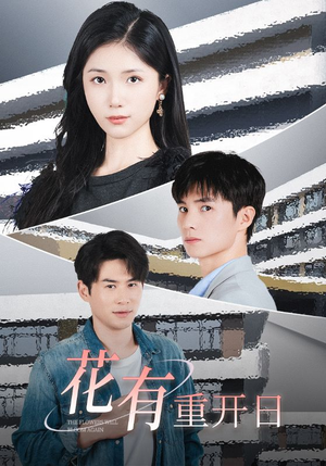 花有重开日(41集) 花有重开日(41集)在线观看完整版