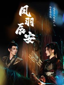 凤羽辰安（100集）一起追生活短剧