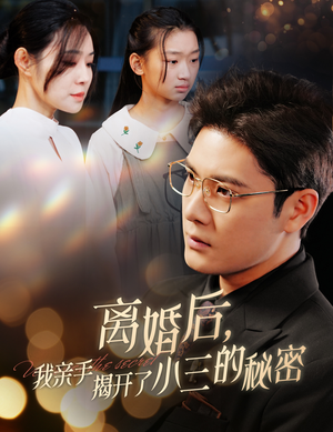 离婚后,我亲手揭开了小三的秘密(60集) 离婚后,我亲手揭开了小三的秘密(60集)红果免费看短剧
