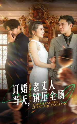 订婚当天，老丈人镇压全场（29集）80到100集