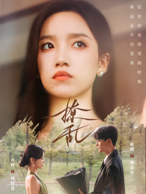 撩乱(65集) 撩乱(65集)好看上头的短剧