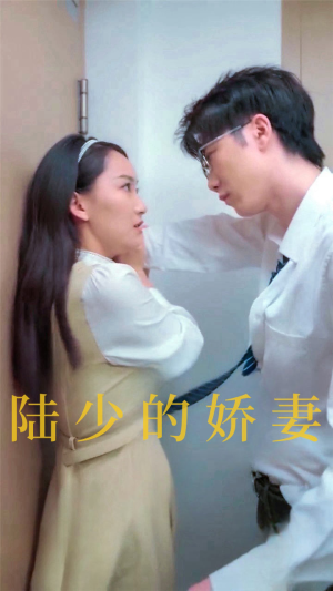 陆少的娇妻(100集) 陆少的娇妻(100集)解说