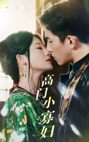 高门小寡妇(60集) 高门小寡妇(60集)在线看完整版