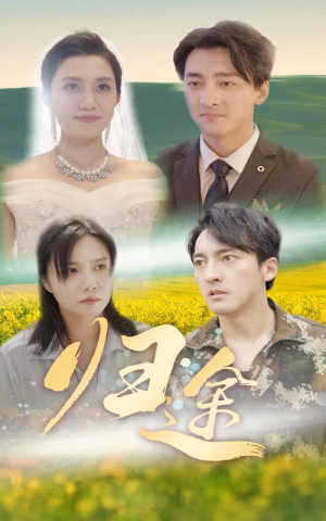 归途(52集) 归途(52集)火爆短剧抢先看