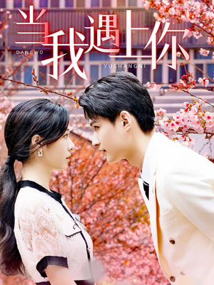 当我遇上你（100集）在线看