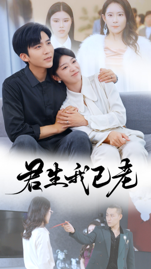 君生我已老（61集）追短剧看全集