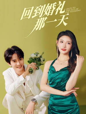 回到婚礼那一天(88集) 回到婚礼那一天(88集)在线播放