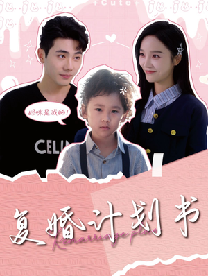 复婚计划书(96集) 复婚计划书(96集)真的好看吗