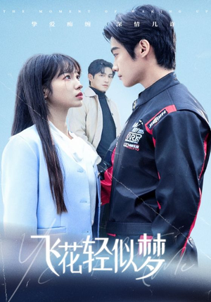 飞花轻似梦(37集) 飞花轻似梦(37集)全集在线看