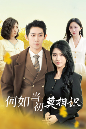 何如当初莫相识(36集) 何如当初莫相识(36集)短剧免费看