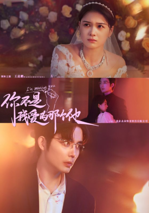 你不是我爱的那个他(54集) 你不是我爱的那个他(54集)好看的短剧来了