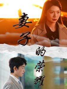 妻子的荣耀(40集) 妻子的荣耀(40集)在线免费观影