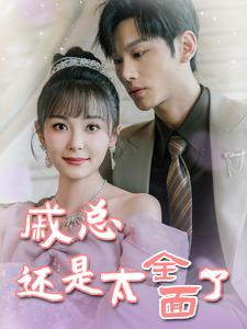 戚总今天追到夫人了么（57集）一口气看完