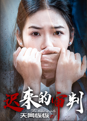 天网恢恢之迟来的审判(31集) 天网恢恢之迟来的审判(31集)高清无码免费看