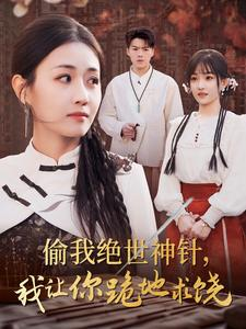 偷我绝世神针,我让你跪地求饶(30集) 偷我绝世神针,我让你跪地求饶(30集)短剧精彩推荐