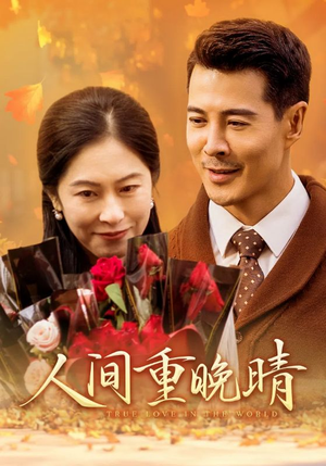 人间重晚情（38集）迅雷网盘观看