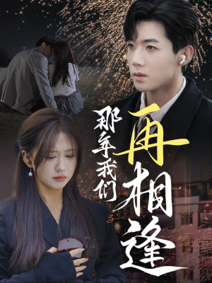 那年我们再相逢（65集）好看的短剧