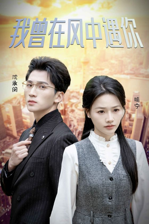 我曾在风中遇你(30集) 我曾在风中遇你(30集)好看短剧抢先看