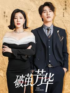 破茧芳华(80集) 破茧芳华(80集)最火爆短剧