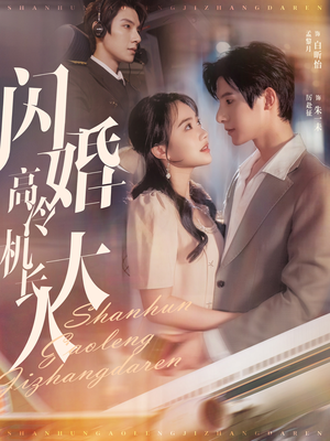 闪婚高冷机长大人(92集) 闪婚高冷机长大人(92集)战神短剧推荐