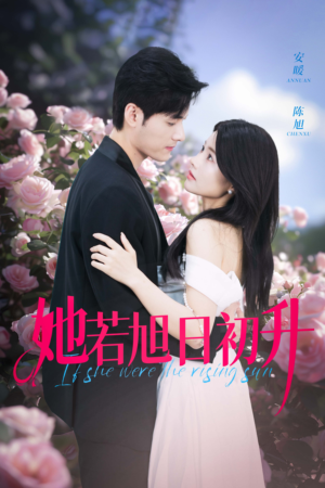 她若旭日初升(40集) 她若旭日初升(40集)高清画质免费看