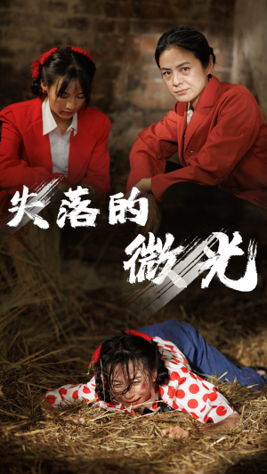 失落的微光(60集) 失落的微光(60集)短剧更新抢先看