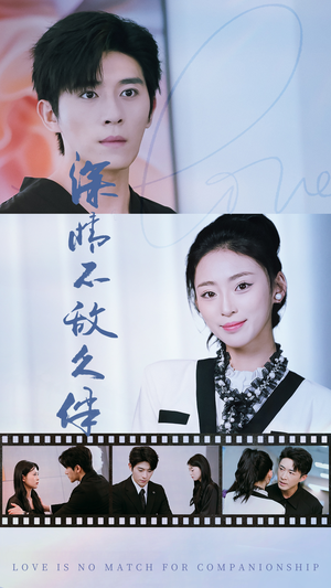 深情不敌久伴（50集）真的好看吗