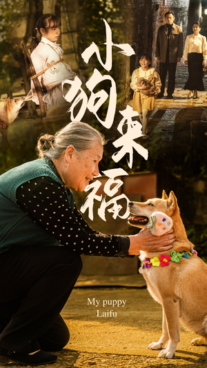 小狗来福（30集）短剧排行榜