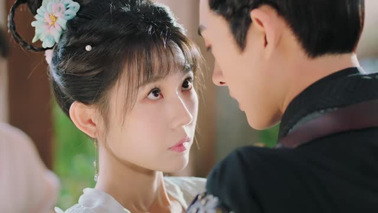 小女不听将军令(24集) 小女不听将军令(24集)全集