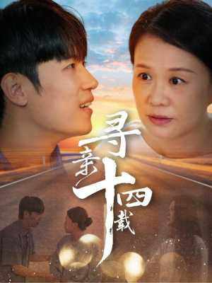 寻亲十四载(50集) 寻亲十四载(50集)全集免费观看