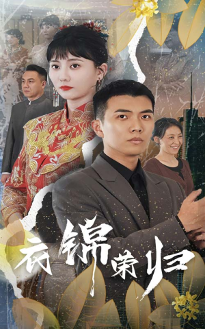 衣锦荣归（81集）短剧抢先看