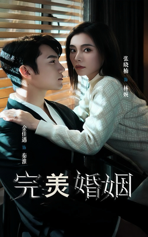 完美婚姻(65集) 完美婚姻(65集)短剧免费看