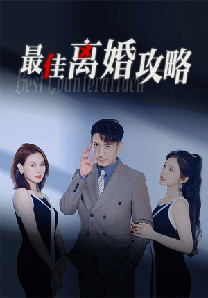 最佳离婚攻略(31集) 最佳离婚攻略(31集)免费在线看全集