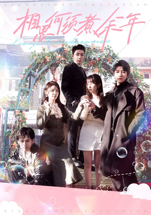 相思何须煮余年(33集) 相思何须煮余年(33集)爆款短剧一起追