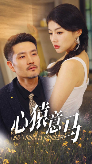 心猿意马（30集）一共多少集