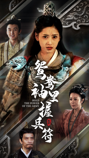 鸳鸯袖里握兵符(88集) 鸳鸯袖里握兵符(88集)超好看短剧推荐