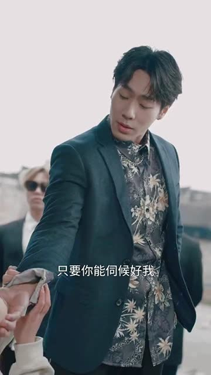 乡村卧龙(88集) 乡村卧龙(88集)免费看全集