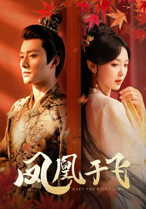 凤凰于飞(79集) 凤凰于飞(79集)精彩短剧下载