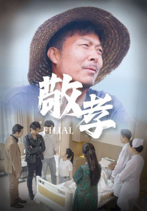 敬孝(61集) 敬孝(61集)一起追短剧