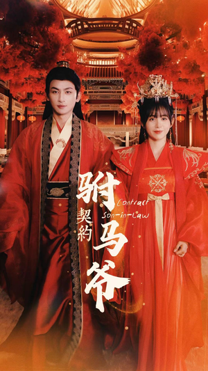 契约驸马爷(74集) 契约驸马爷(74集)第一集