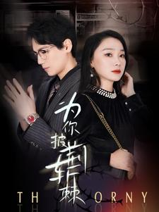 为你披荆斩棘(90集) 为你披荆斩棘(90集)最火爆的短剧