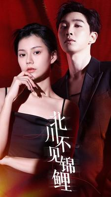 北川不见锦鲤(72集) 北川不见锦鲤(72集)经典老剧免费看