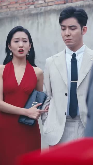 他的荣耀(合集) 他的荣耀(合集)高质量短剧推荐