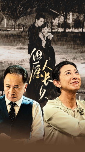 但愿人长久（80集）在哪看免费