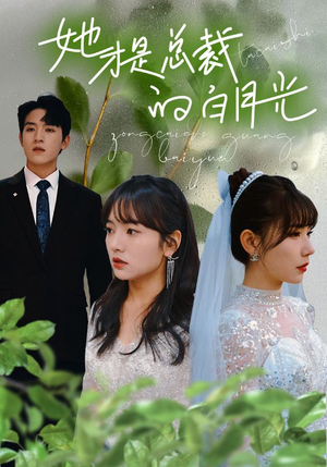 她才是总裁的白月光(90集) 她才是总裁的白月光(90集)精彩短剧来了