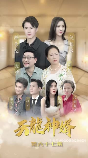 天龙神婿（80集）免费热门短剧