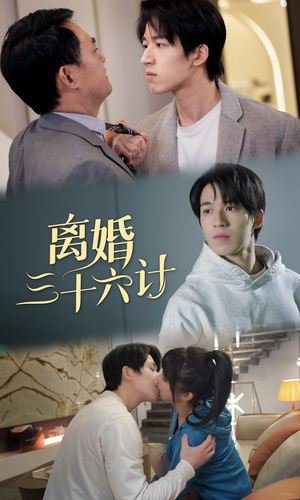 离婚三十六计(96集) 离婚三十六计(96集)短视频追剧推荐