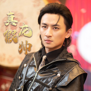 真假龙帅(81集) 真假龙帅(81集)免费短剧看全集