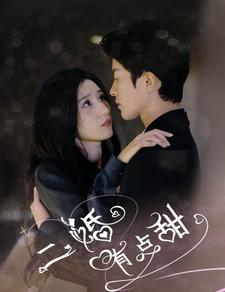 二婚有点甜(88集) 二婚有点甜(88集)解说